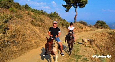 سرگرمی اسب سواری در آلانیا شهر ترکیه کشور آلانیا