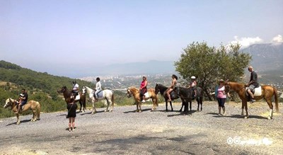 اسب سواری در آلانیا -  شهر آلانیا