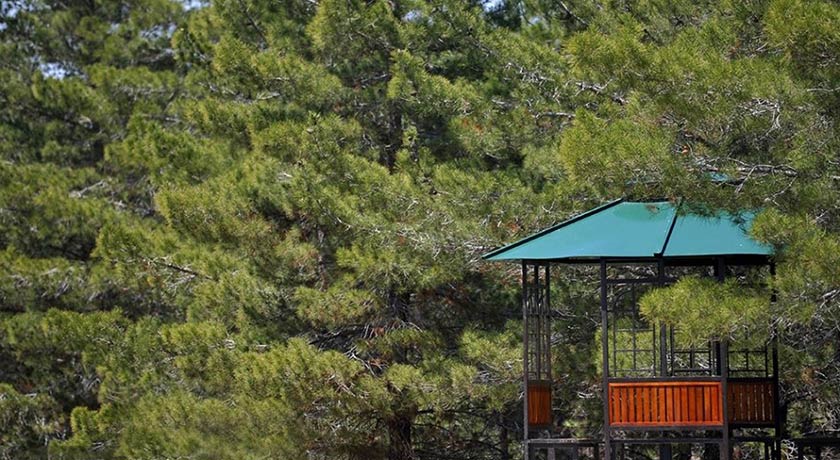 پارک جنگلی یاس فاطمی -  شهر تهران