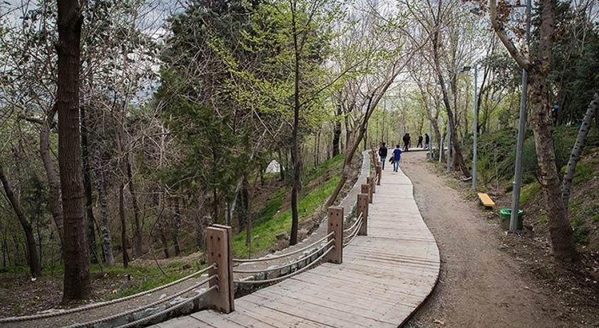  پارک  طالقانی شهر تهران استان تهران