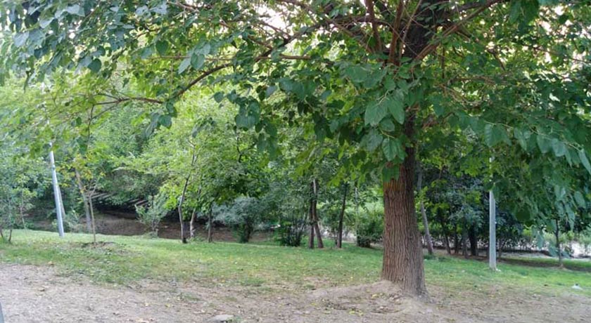  پارک  طالقانی شهر تهران استان تهران