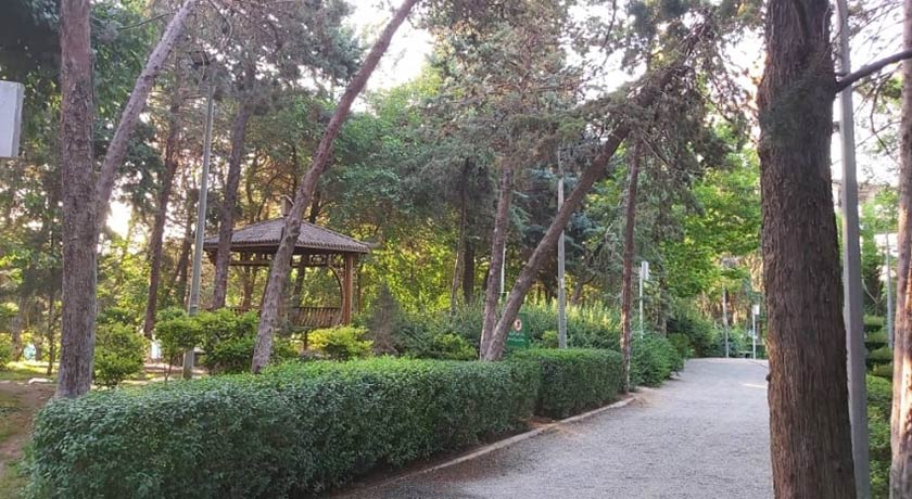  پارک  طالقانی شهر تهران استان تهران