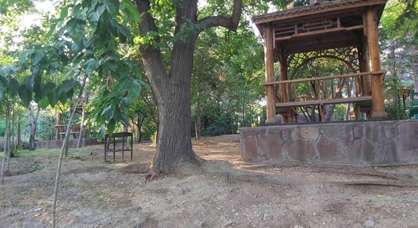  پارک  طالقانی شهر تهران استان تهران