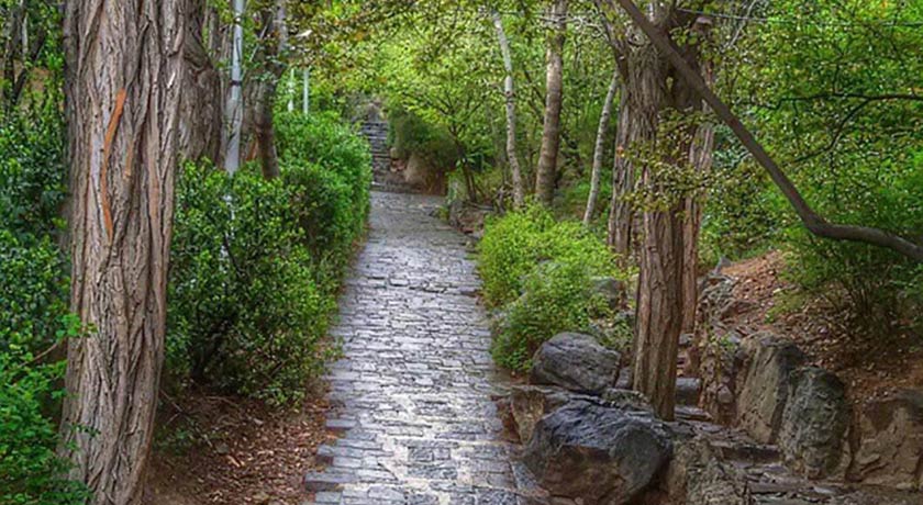  پارک قیطریه شهر تهران استان تهران