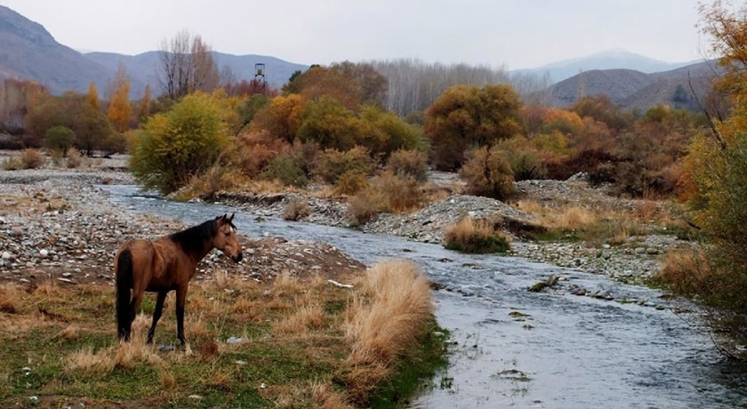  پارک ملی خجیر شهر تهران استان تهران