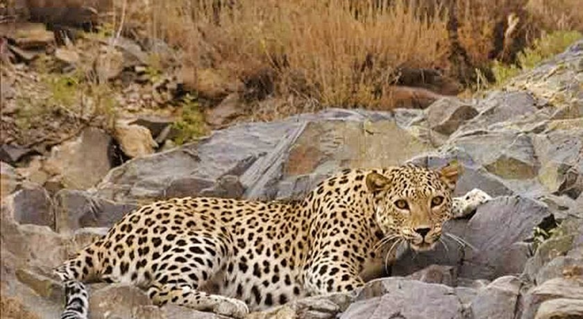  پارک ملی خجیر شهر تهران استان تهران