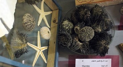  موزه تاریخ طبیعی اصفهان شهرستان اصفهان استان اصفهان