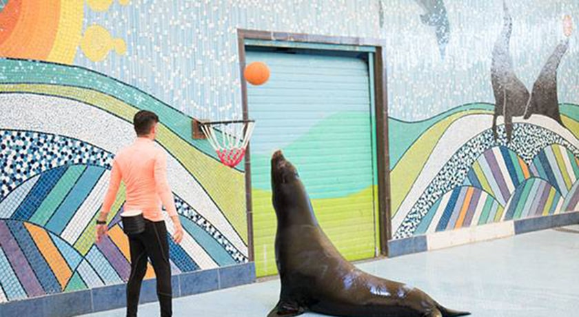  دلفیناریوم برج میلاد شهر تهران استان تهران