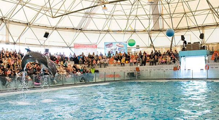  دلفیناریوم برج میلاد شهر تهران استان تهران