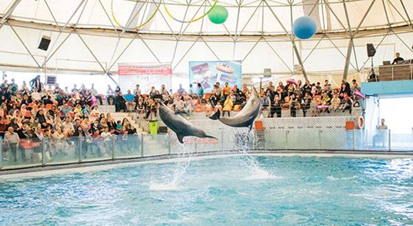  دلفیناریوم برج میلاد شهر تهران استان تهران