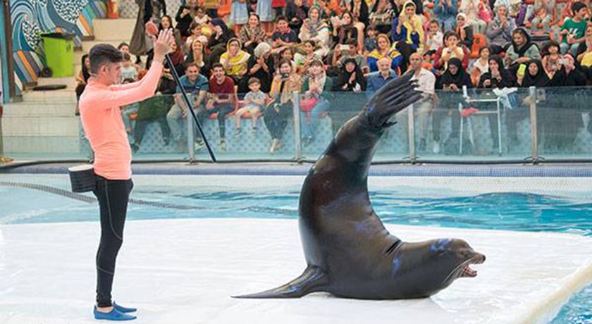  دلفیناریوم برج میلاد شهر تهران استان تهران