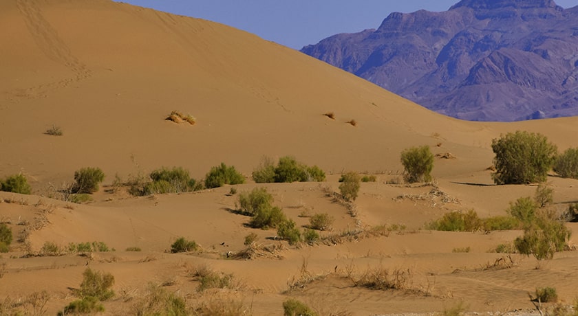  روستای مصر شهرستان اصفهان استان خور  و بیابانک