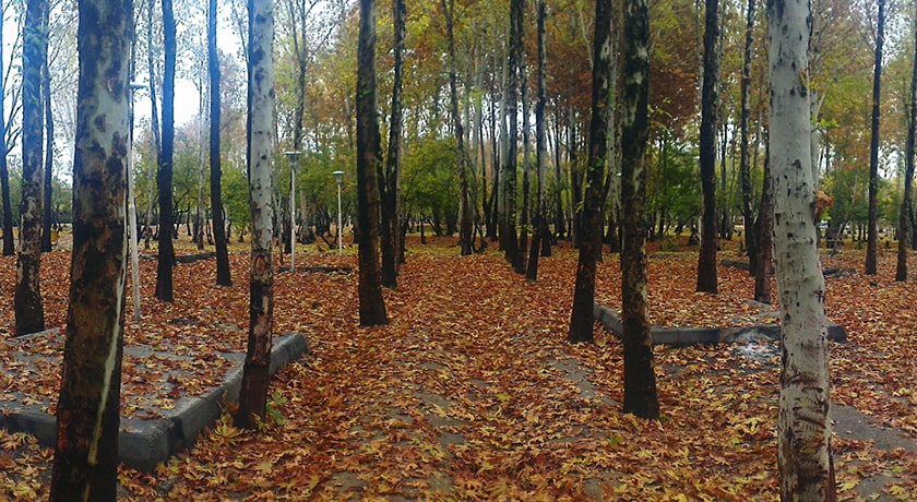  پارک جنگلی ناژوان شهر اصفهان استان اصفهان