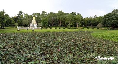  معبد یانسانگ وارارام شهر تایلند کشور پاتایا