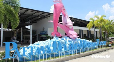 سرگرمی دنیای دلفین پاتایا شهر تایلند کشور پاتایا