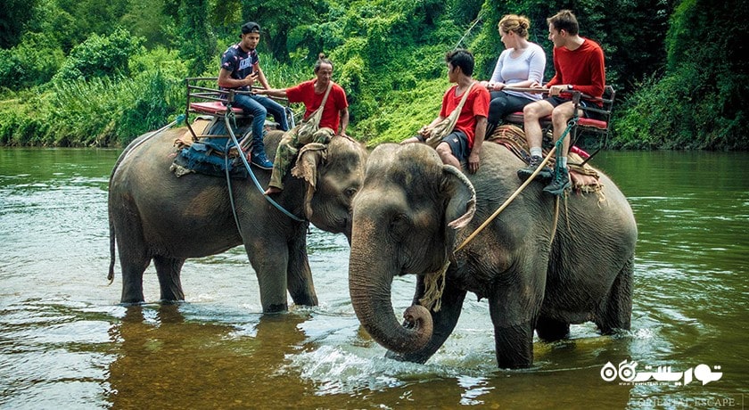 سرگرمی فیل سواری در پاتایا شهر تایلند کشور پاتایا