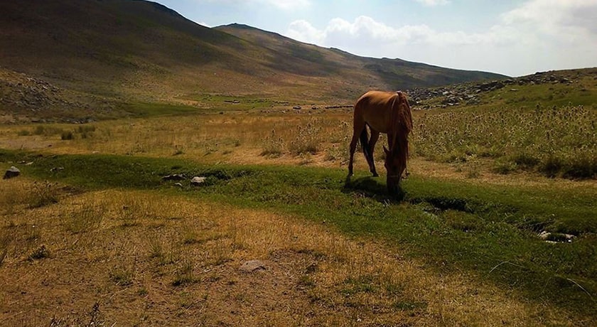  روستای وردیج و واریش شهرستان تهران استان تهران