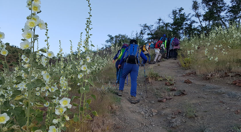 دره پیازچال -  شهر تهران