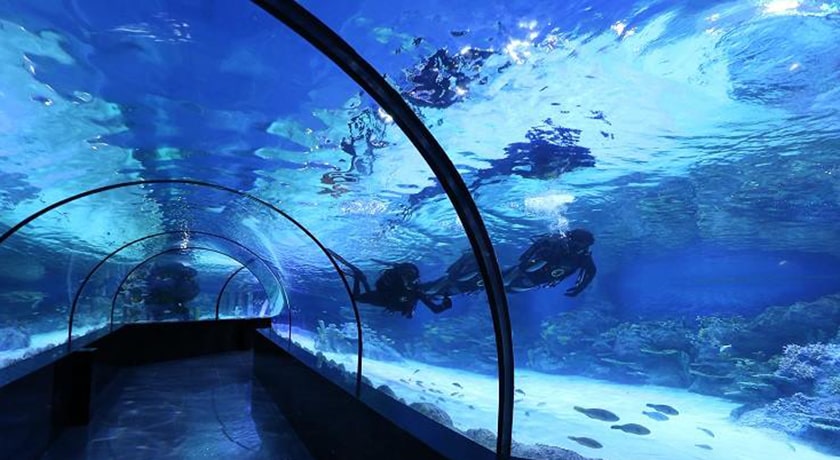 آکواریوم اصفهان -  شهر اصفهان
