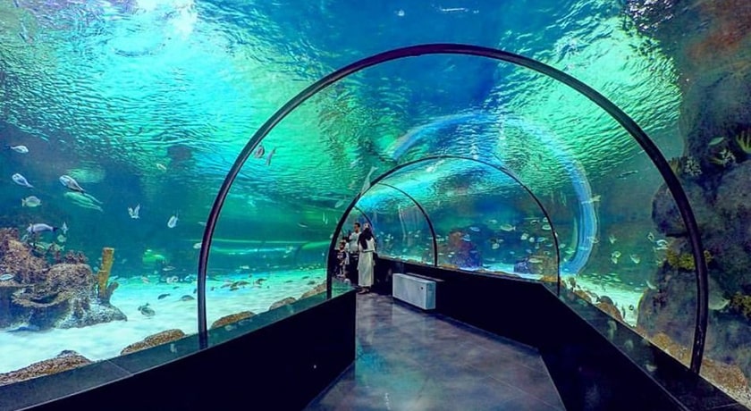 آکواریوم اصفهان -  شهر اصفهان