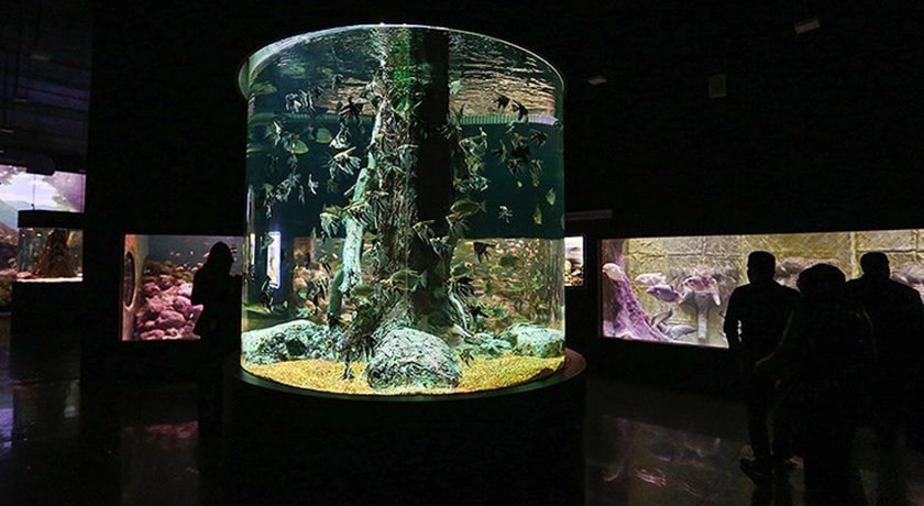  آکواریوم اصفهان شهر اصفهان استان اصفهان