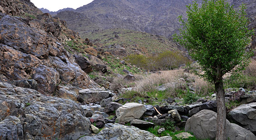  روستا طامه شهرستان اصفهان استان نطنز