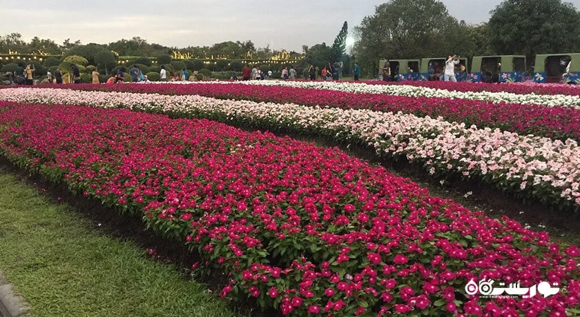 سرگرمی پارک رامای نهم شهر تایلند کشور بانکوک