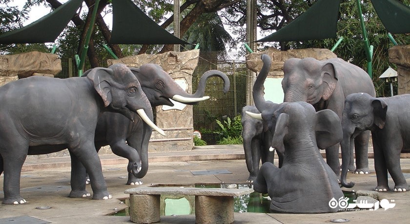 سرگرمی باغ وحش دوسیت شهر تایلند کشور بانکوک