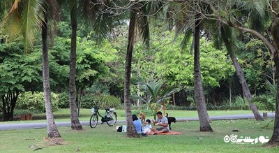 باغ گیاه شناسی و پارک سی ناکان کوین کان -  شهر بانکوک