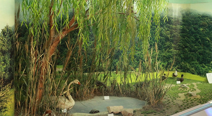  موزه علوم و فنون آموزش و پرورش شهرستان اصفهان استان اصفهان