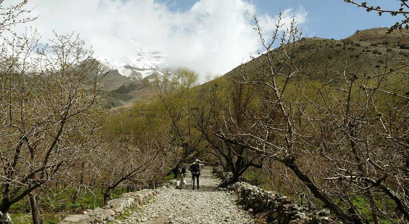  روستای افجه شهرستان تهران استان تهران