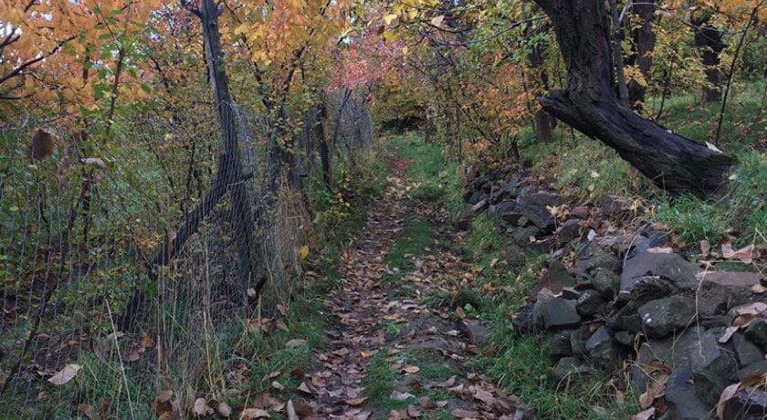  روستای برگ جهان شهرستان تهران استان تهران