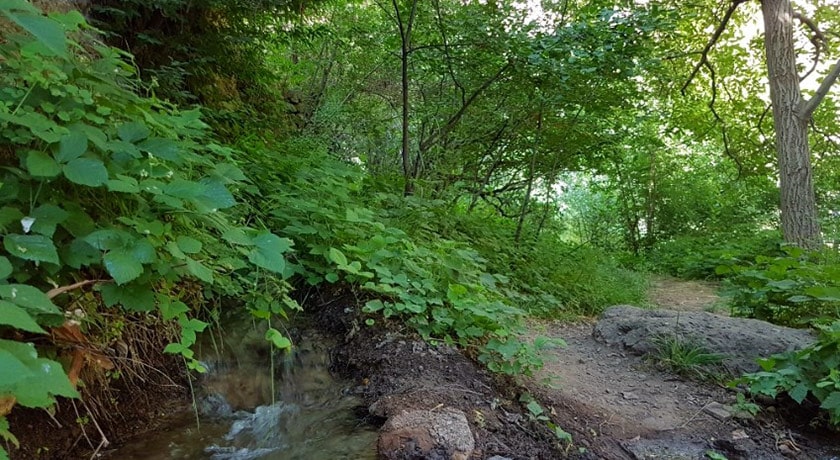  روستای برگ جهان شهرستان تهران استان تهران