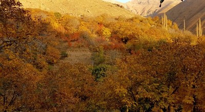  روستای برگ جهان شهرستان تهران استان تهران