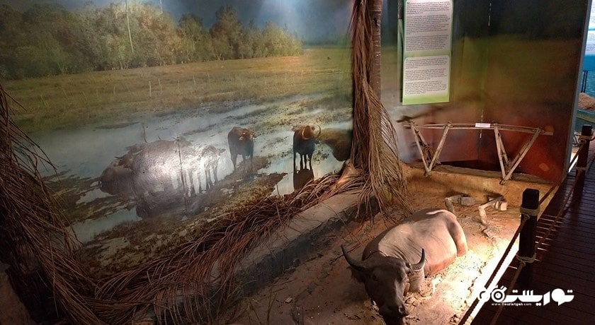 مجموعه فرهنگی صنایع دستی لنکاوی -  شهر لنکاوی