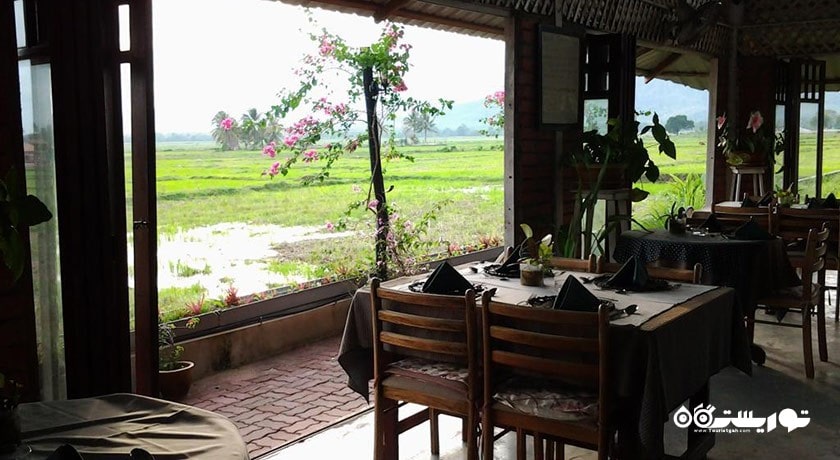 رستوران رستوران پیاز د پدی شهر لنکاوی 