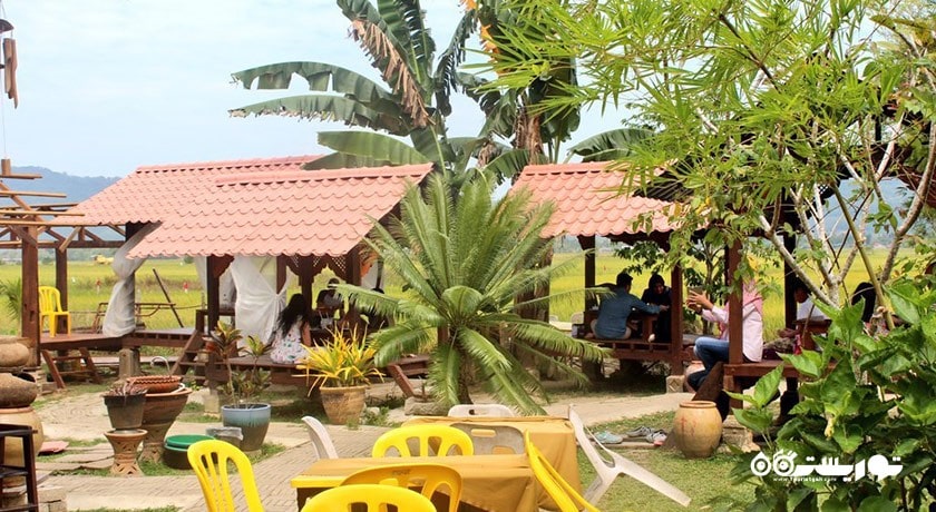 رستوران ناسی داگانگ پاک مالائو -  شهر لنکاوی