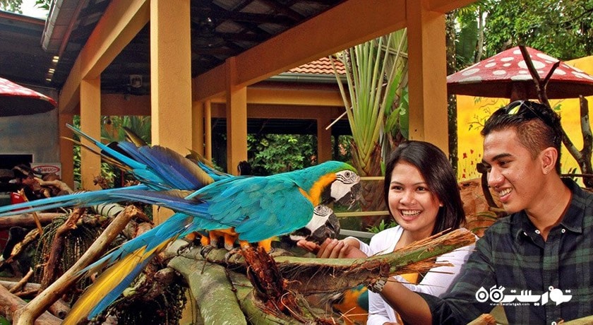 سرگرمی پارک حیات وحش لنکاوی شهر مالزی کشور لنکاوی