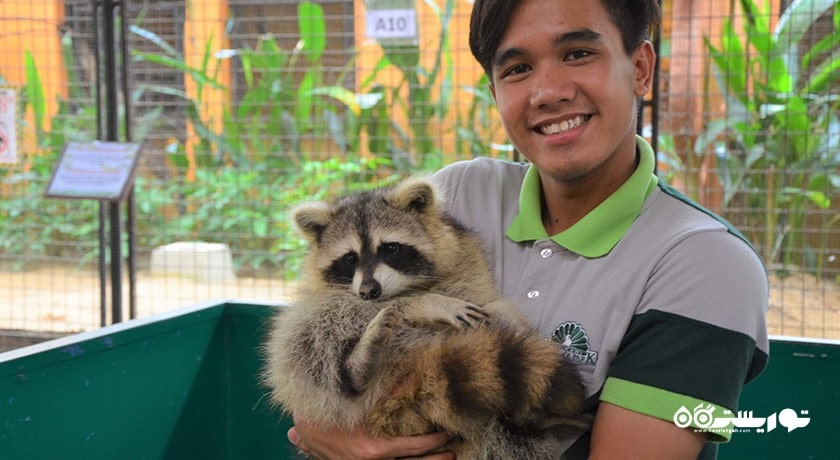 سرگرمی پارک حیات وحش لنکاوی شهر مالزی کشور لنکاوی