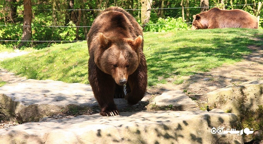 سرگرمی پارک حیات وحش لنکاوی شهر مالزی کشور لنکاوی