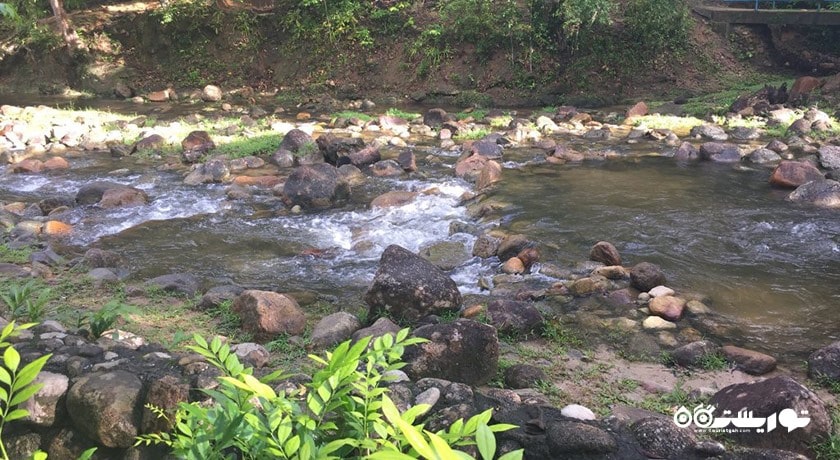  کوه گونانگ رایا شهر مالزی کشور لنکاوی