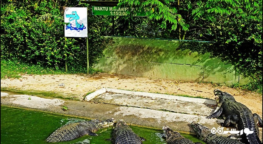 سرگرمی کروکدیل ادونچر لند شهر مالزی کشور لنکاوی