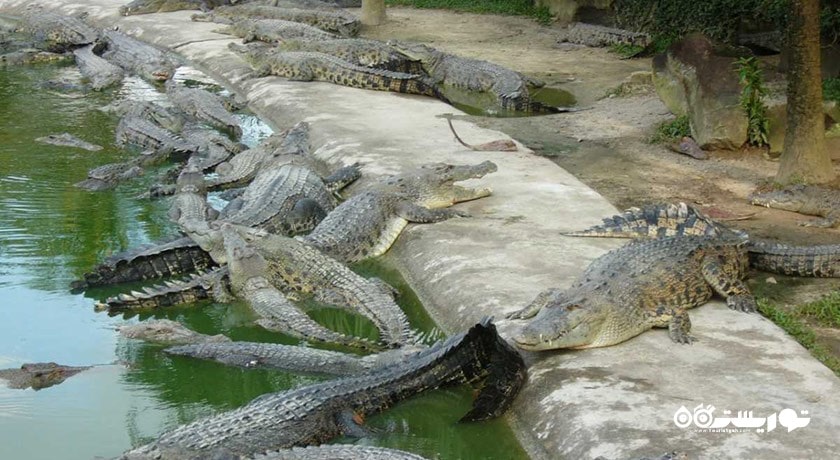 سرگرمی کروکدیل ادونچر لند شهر مالزی کشور لنکاوی