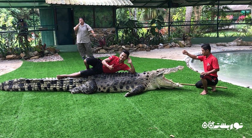 سرگرمی کروکدیل ادونچر لند شهر مالزی کشور لنکاوی