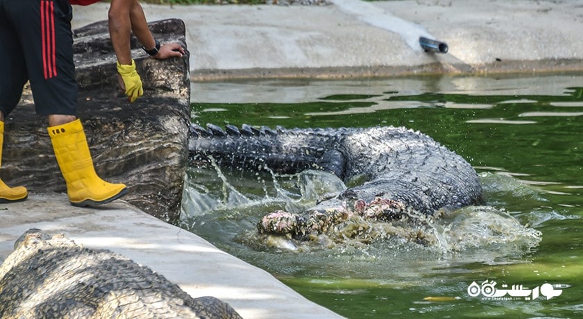 سرگرمی کروکدیل ادونچر لند شهر مالزی کشور لنکاوی