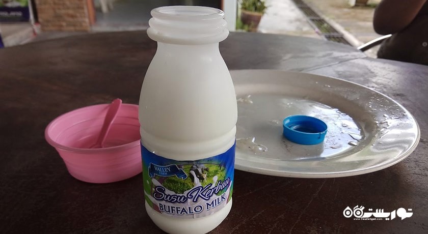 سرگرمی پارک بوفالو شهر مالزی کشور لنکاوی