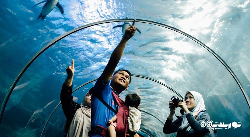 آکواریوم آندرواتر ورلد لنکاوی -  شهر لنکاوی