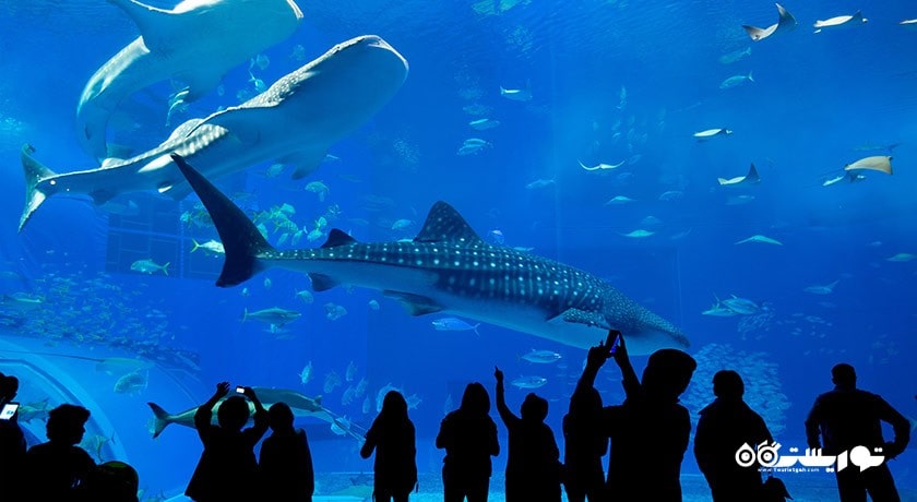 سرگرمی آکواریوم آندرواتر ورلد لنکاوی شهر مالزی کشور لنکاوی