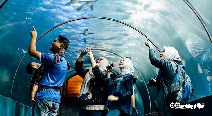 سرگرمی آکواریوم آندرواتر ورلد لنکاوی شهر مالزی کشور لنکاوی