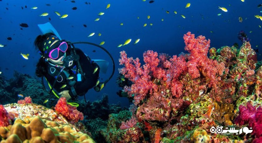 سرگرمی غواصی در لنکاوی شهر مالزی کشور لنکاوی